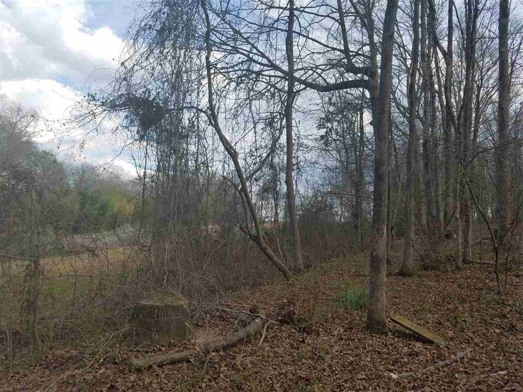 Six And Twenty Road Pendleton, SC 29670 - Photo 10 of 28