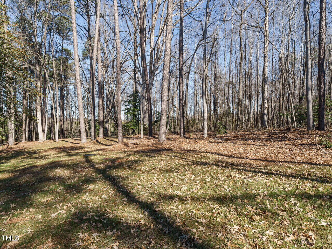 30 Tamaran Ct Spring Spring Hope, NC 27882 - Photo 32 of 37 a backyard of a house with lots of green space