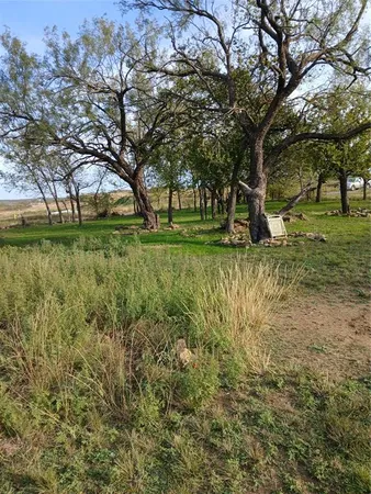 a view of a garden with trees