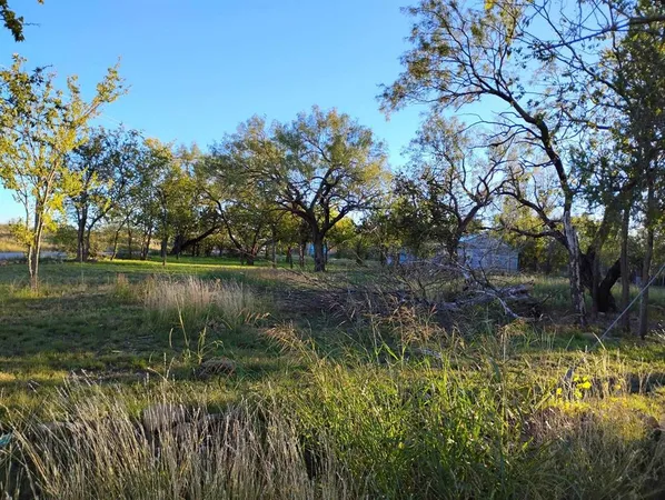 a view of a lake view with a garden