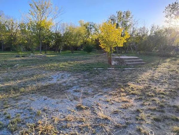 a view of a park with a tree