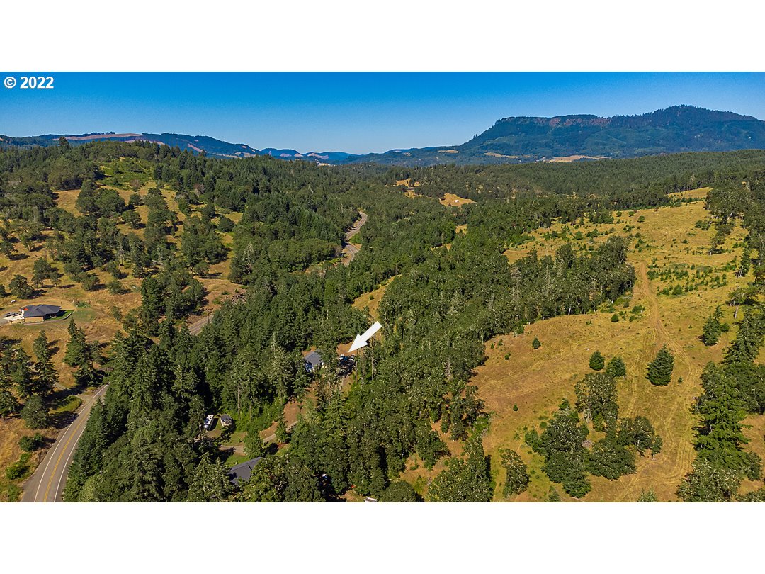 1613 Hogan Road Oakland, OR 97462 - Photo 6 of 32