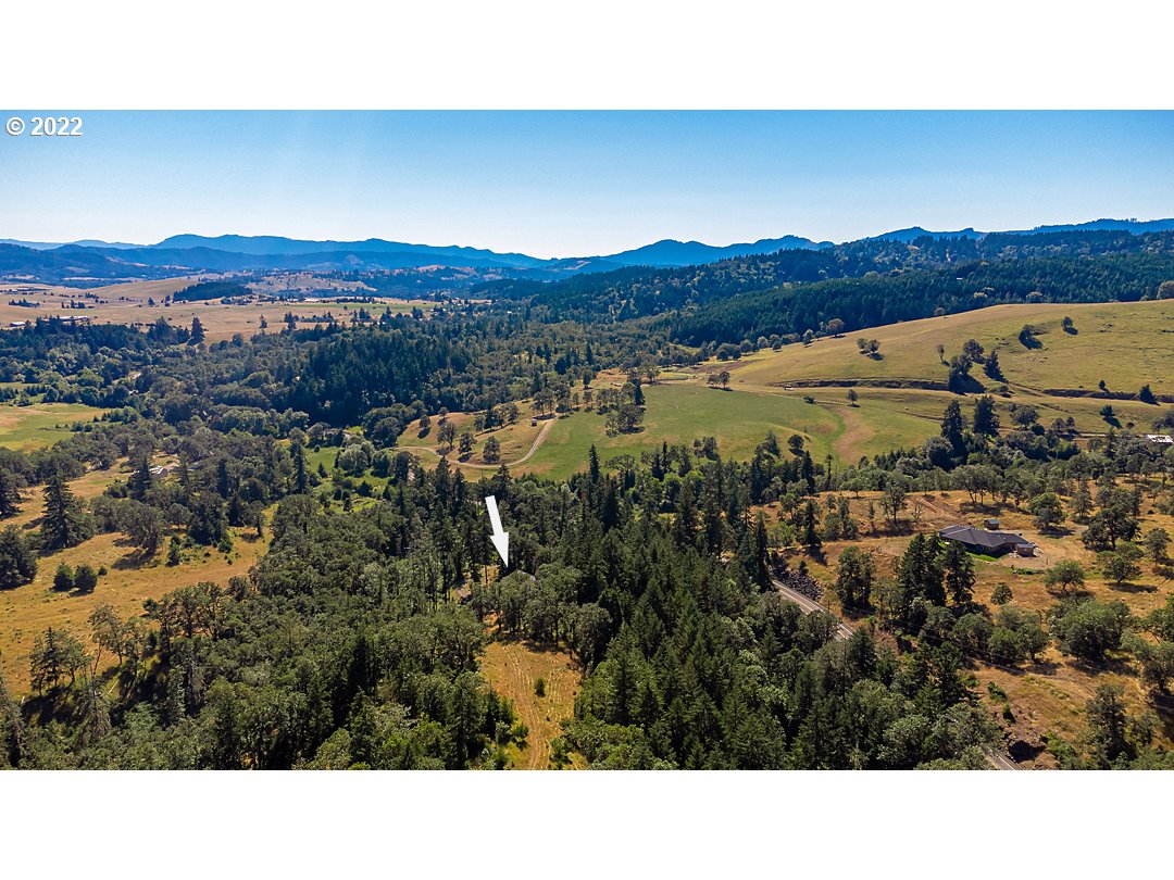 1613 Hogan Road Oakland, OR 97462 - Photo 7 of 32