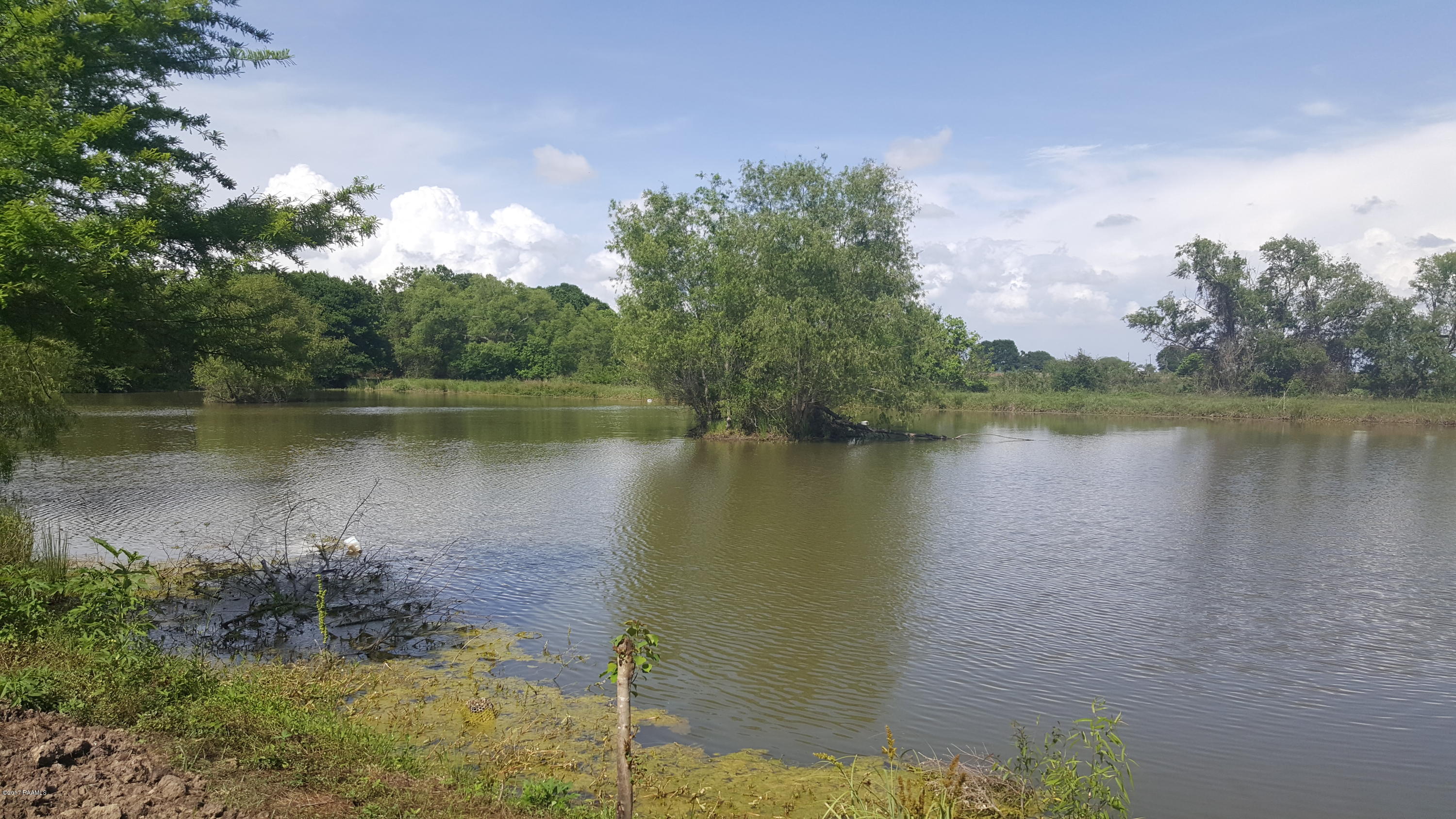 23732 Bluebonnet Road Kaplan, LA 70548 - Photo 36 of 39 20170418_154031