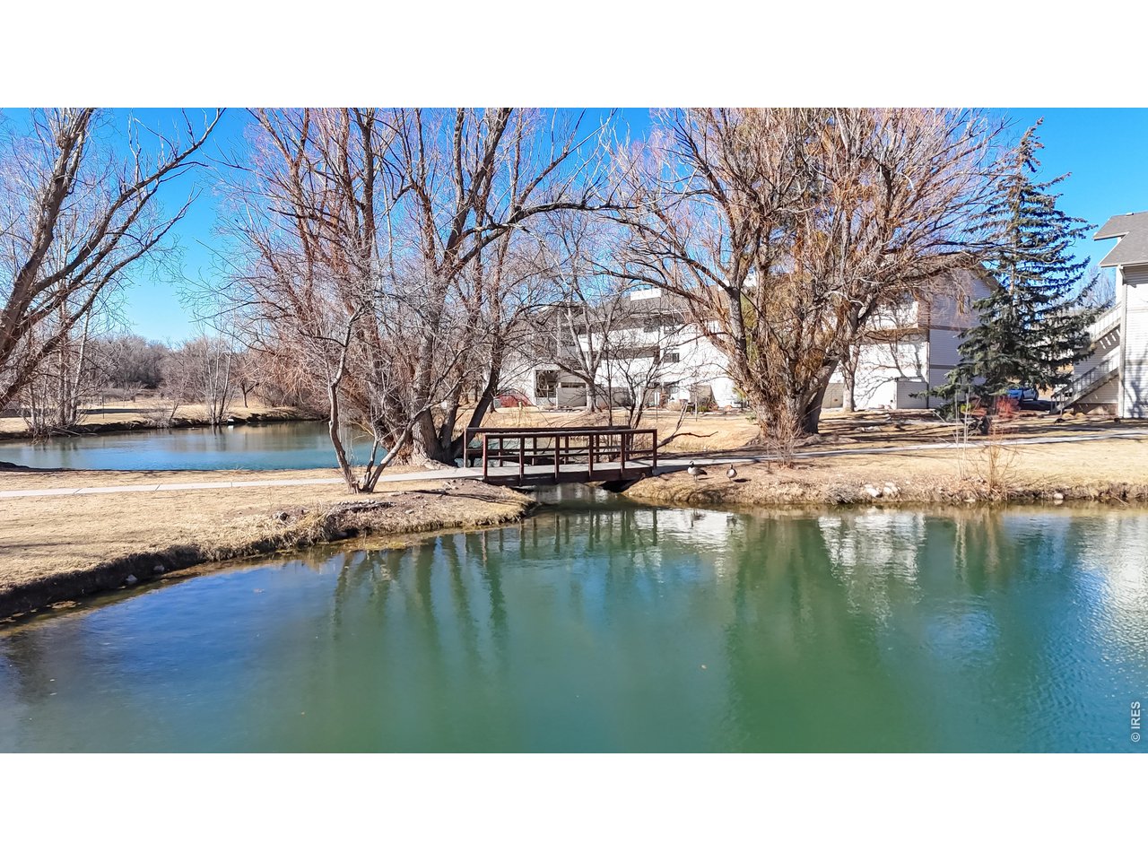 1705 Heatheridge Road, Unit 301 Fort Collins, CO 80526 - Photo 3 of 26 2 Ponds on the Property are Right Outside the Front Door!