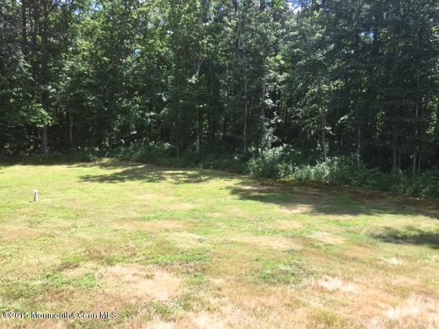 171 Siloam Road Freehold, NJ 07728 - Photo 10 of 27 IMG_1186