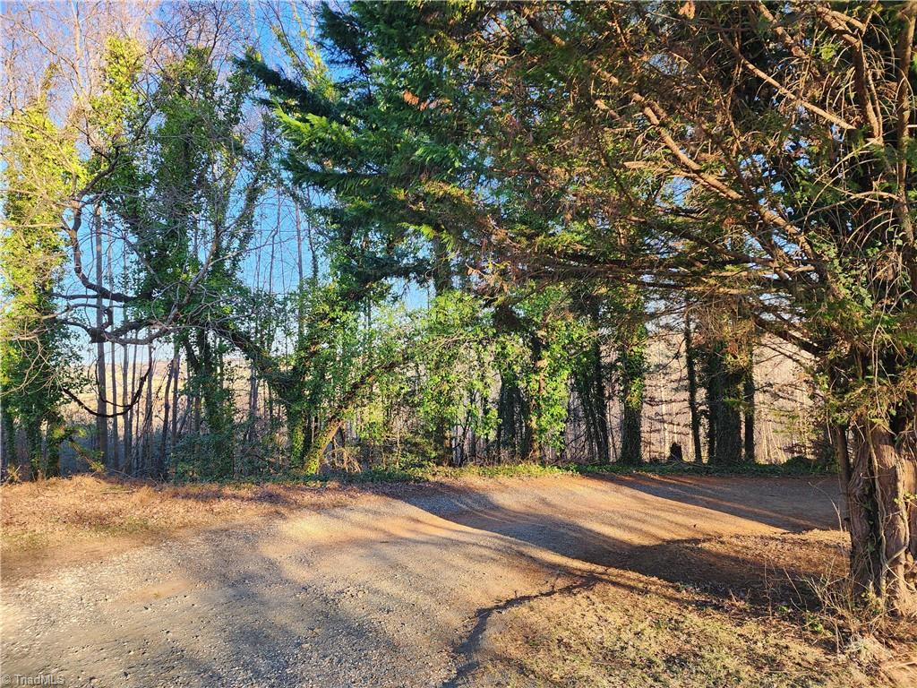 543 Fisher Valley Road Dobson, NC 27017 - Photo 41 of 48 Gallery Image 41