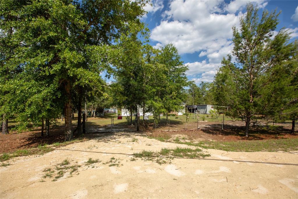 5670 Acadia Street Keystone Heights, FL 32656 - Photo 58 of 65 a view of a yard with a tree