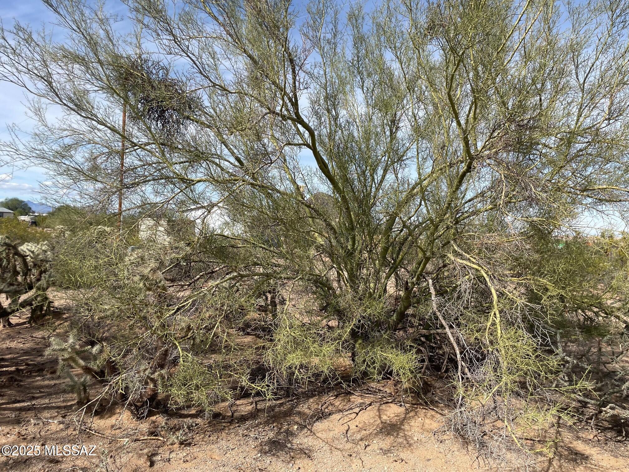 Tbd North Tbd N Van Ark Road Tucson, AZ 85743 - Photo 3 of 14