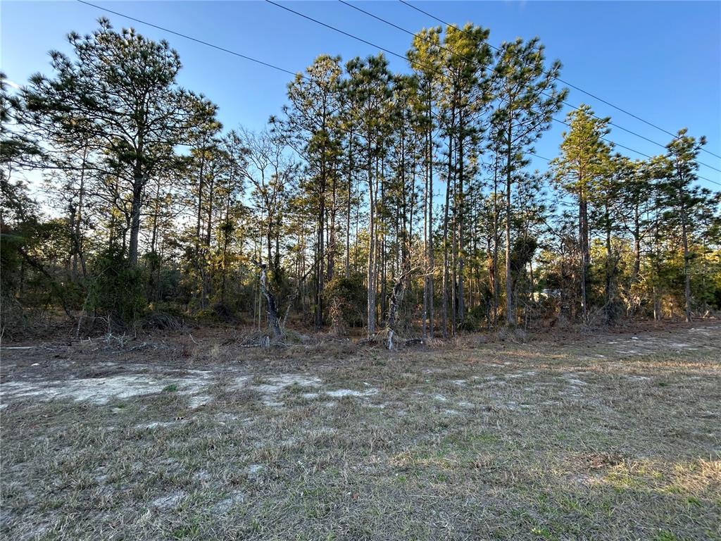 2070 Southeast State Rd 121  