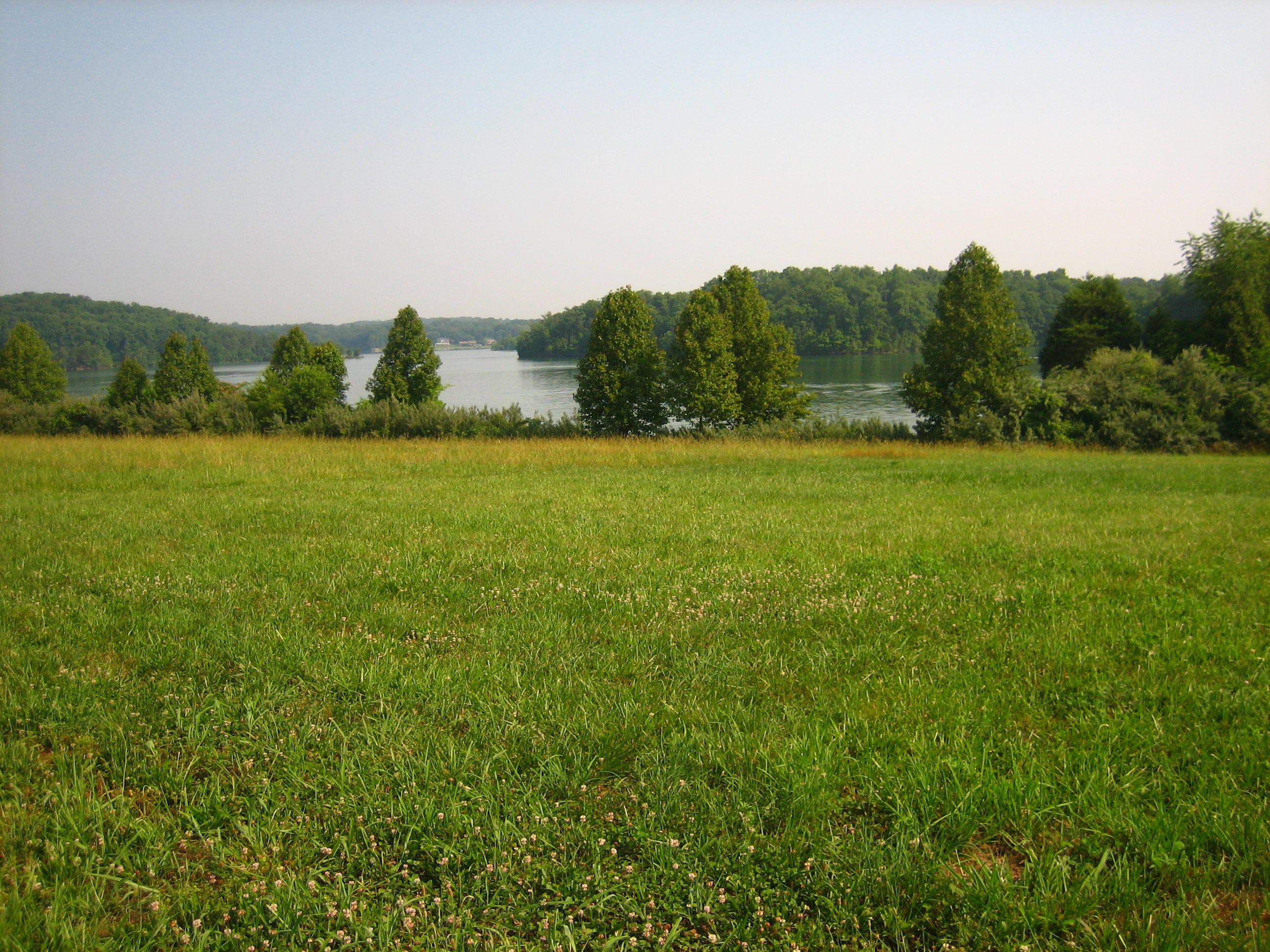 250 Bay Pointe Road Vonore, TN 37885 - Photo 1 of 2 IMG_4769