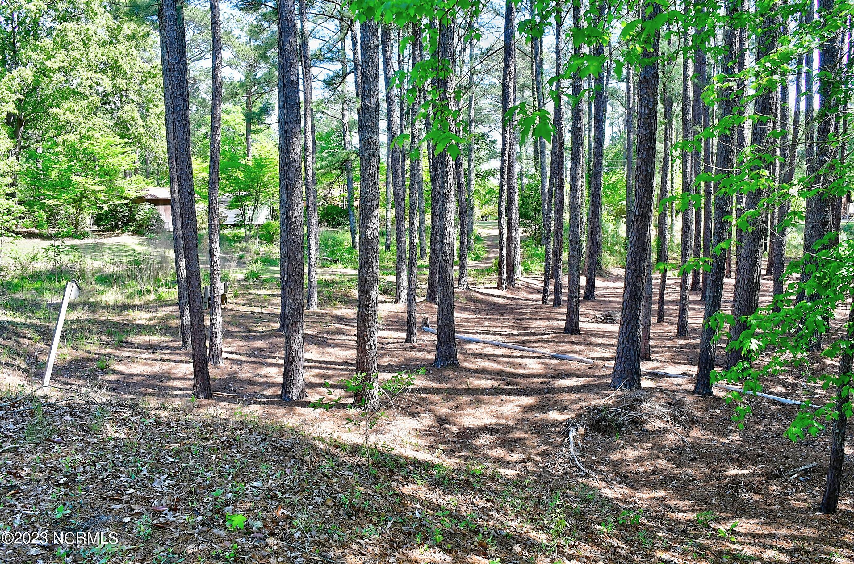 97 Taylor Mill Road Eure, NC 27935 - Photo 16 of 54 20-Backyard