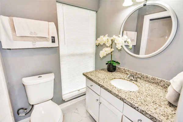 a bathroom with a toilet a sink and mirror