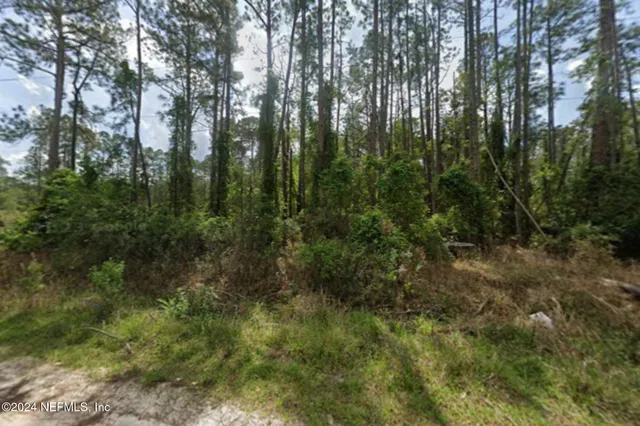 $25,000 | 105 Pine Cone Drive, Georgetown, FL 32139