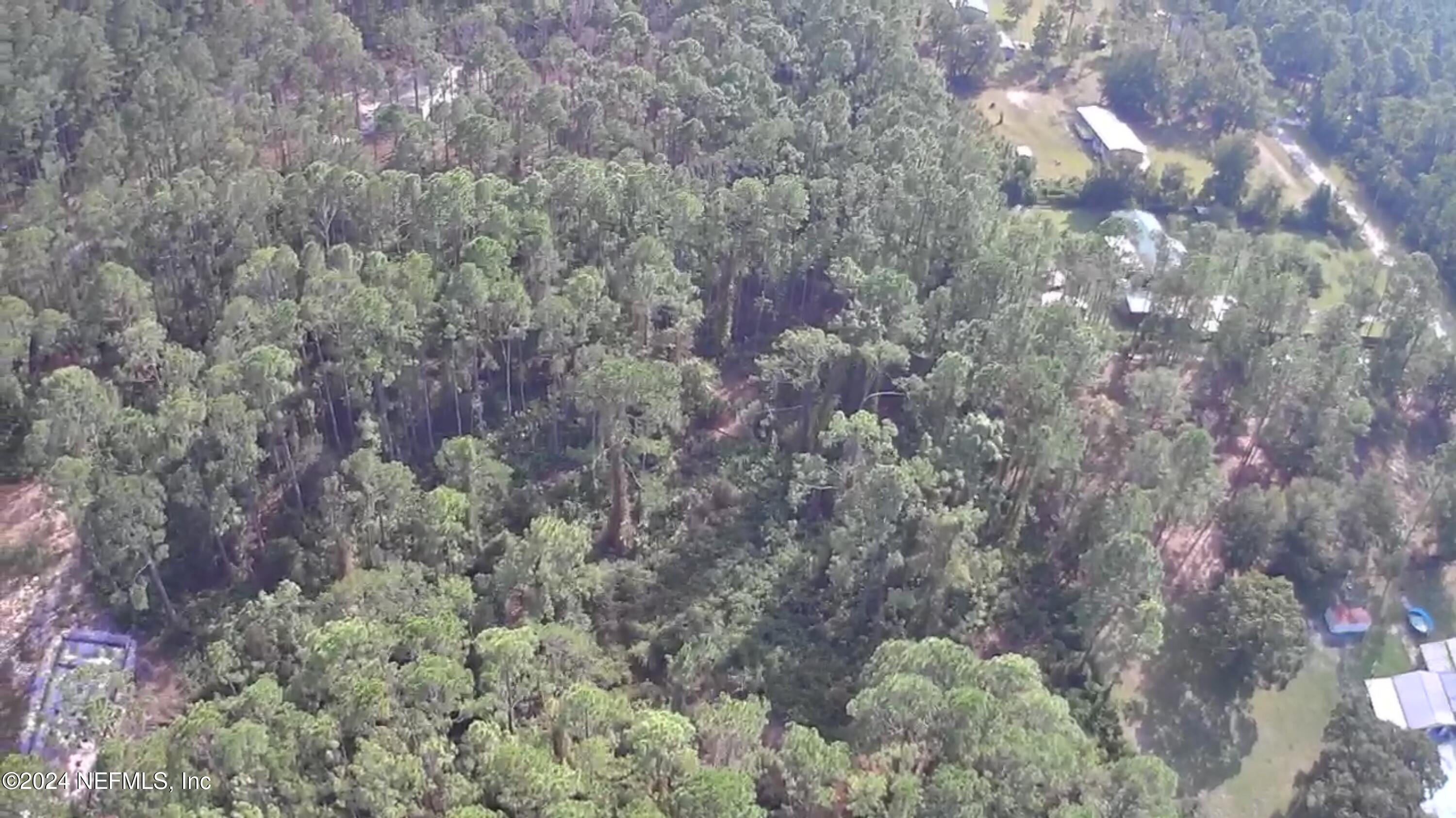 105 Pine Cone Drive Georgetown, FL 32139 - Photo 8 of 10 IMG_8755