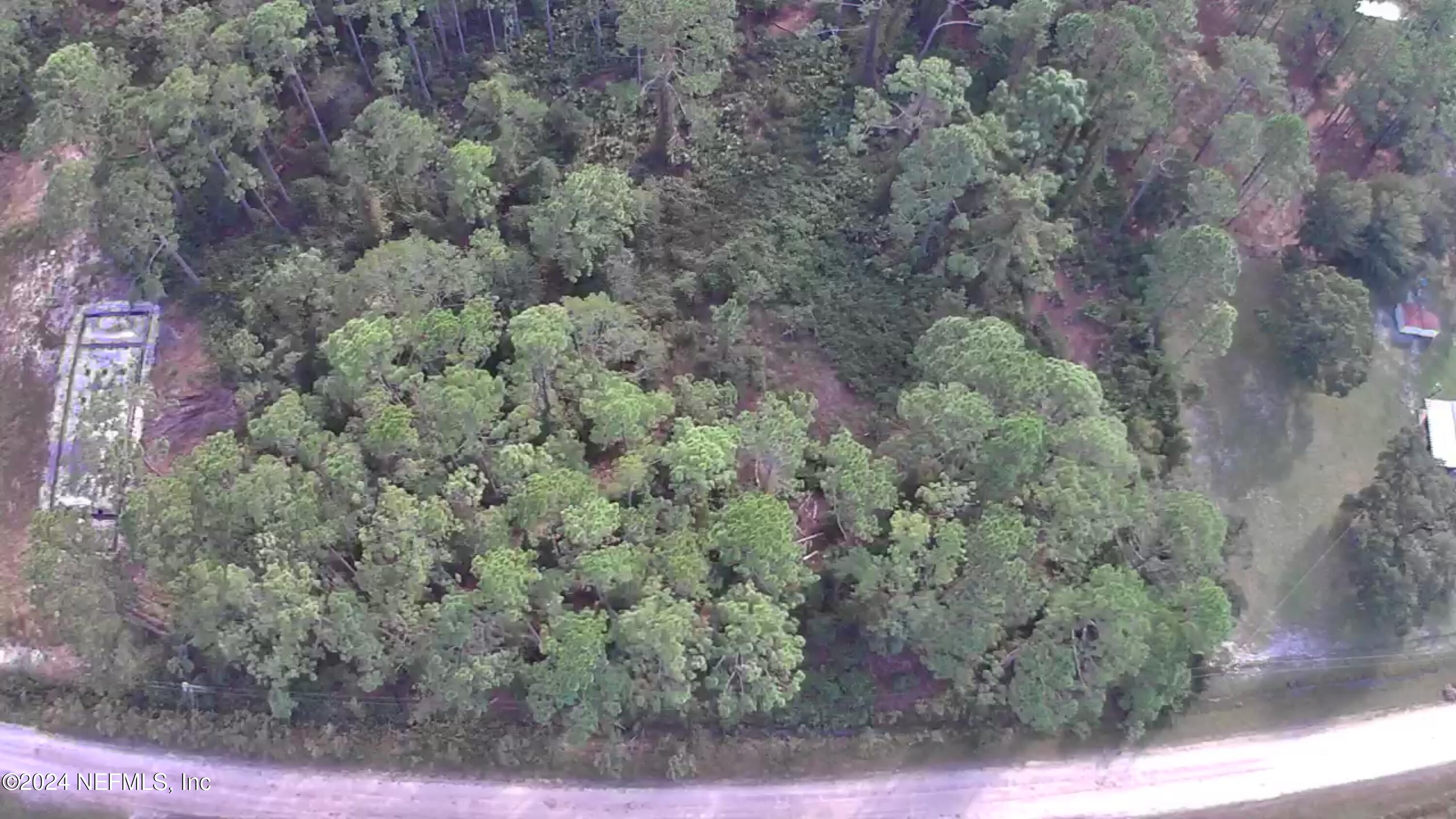 105 Pine Cone Drive Georgetown, FL 32139 - Photo 9 of 10 IMG_8757