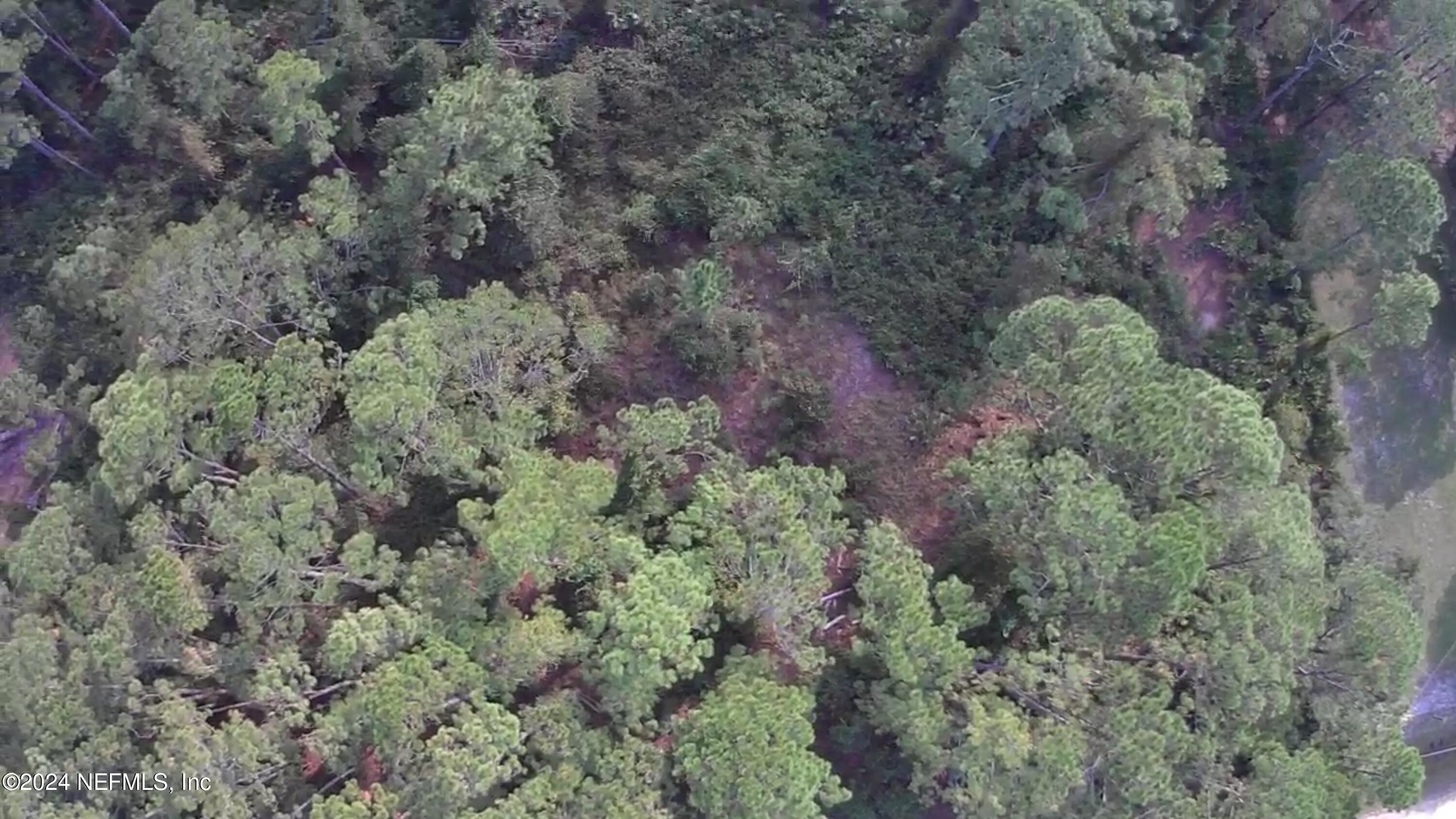 105 Pine Cone Drive Georgetown, FL 32139 - Photo 10 of 10 IMG_8758