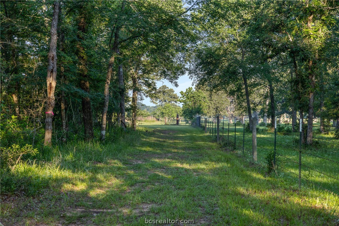 26795 Rice Road Hockley, TX 77447 - Photo 5 of 19 a view of a park with large trees
