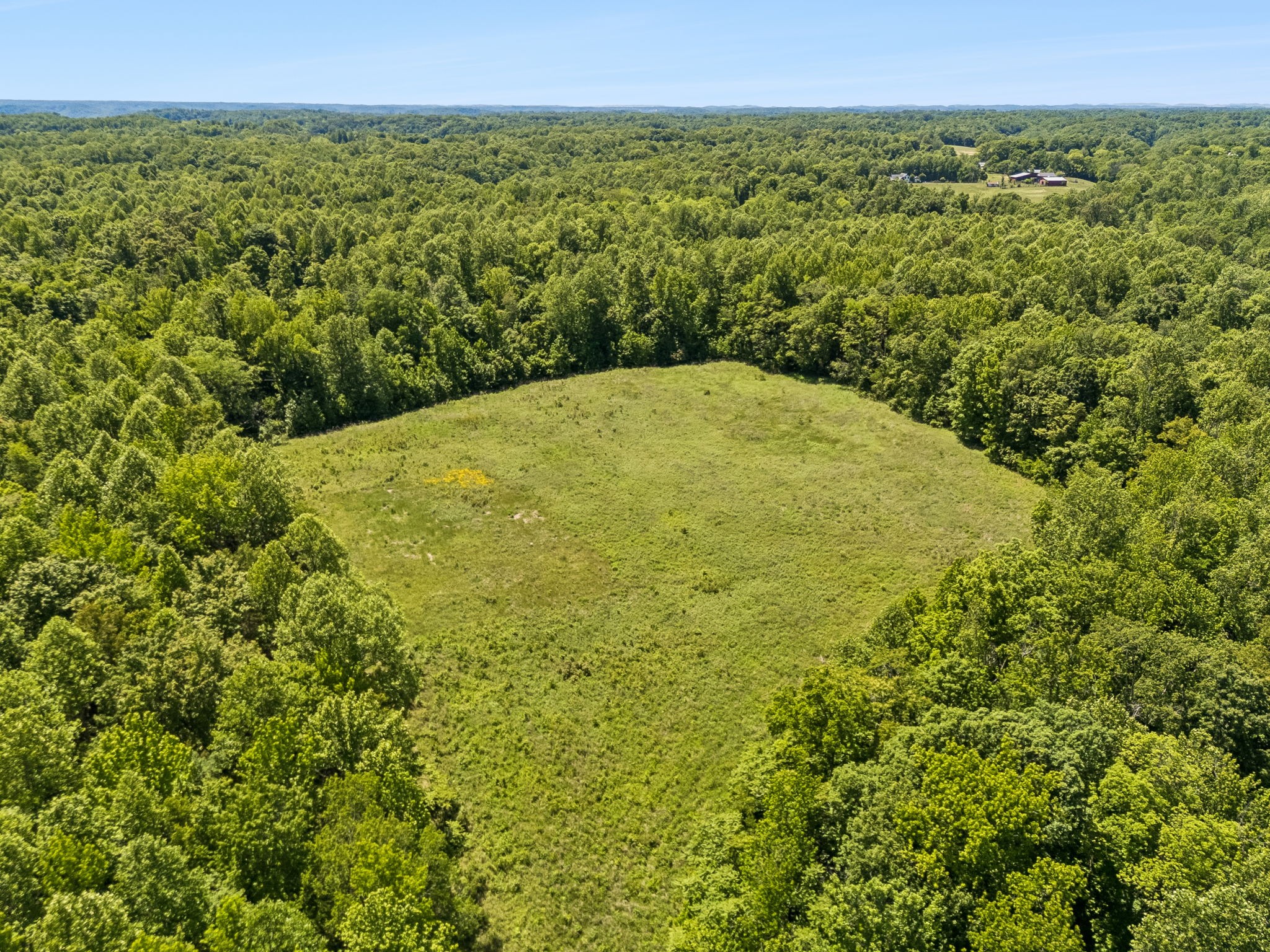 655 Burton Ridge Road Silver Point, TN 38582 - Photo 53 of 64