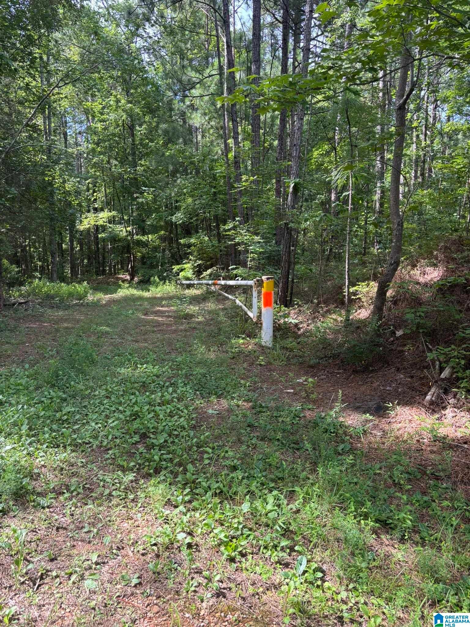 0 Union T Road Talladega, AL 35160 - Photo 26 of 30 Gallery Image 26