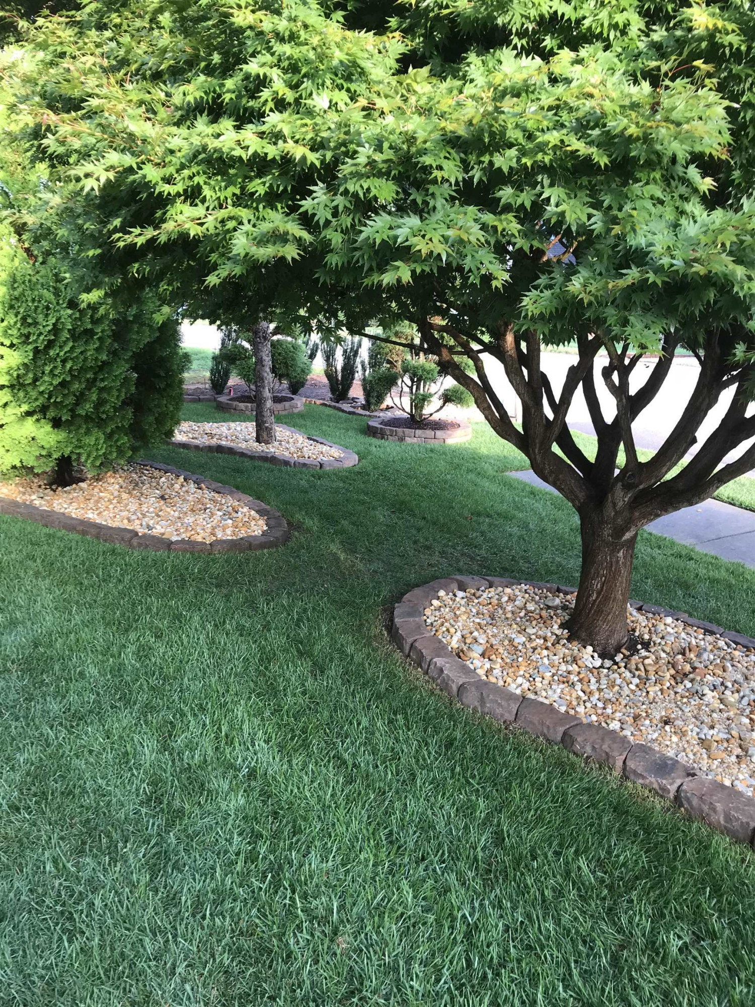 100 Mickleson Ridge Drive Raleigh, NC 27603 - Photo 52 of 59 Landscaping