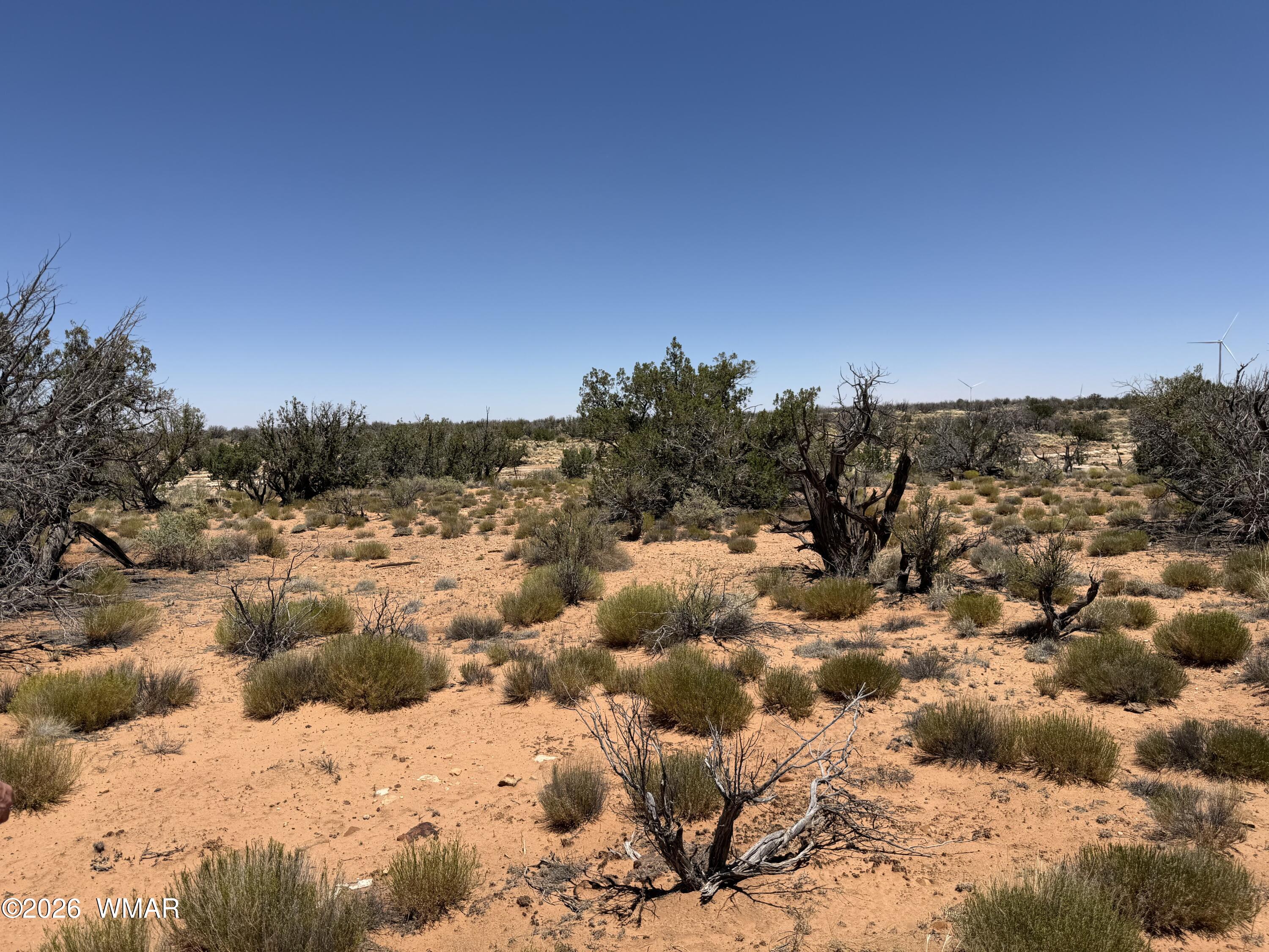Lot 276 Chev Canyon Ranch, Unit 3 Overgaard, AZ 85933 - Photo 13 of 18