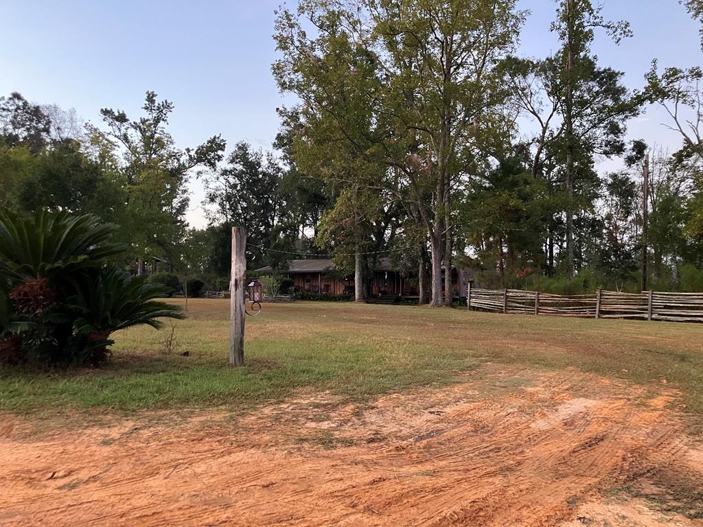 65 Mathis Road Lakeland, GA 31635 - Photo 88 of 94 Gallery Image 88