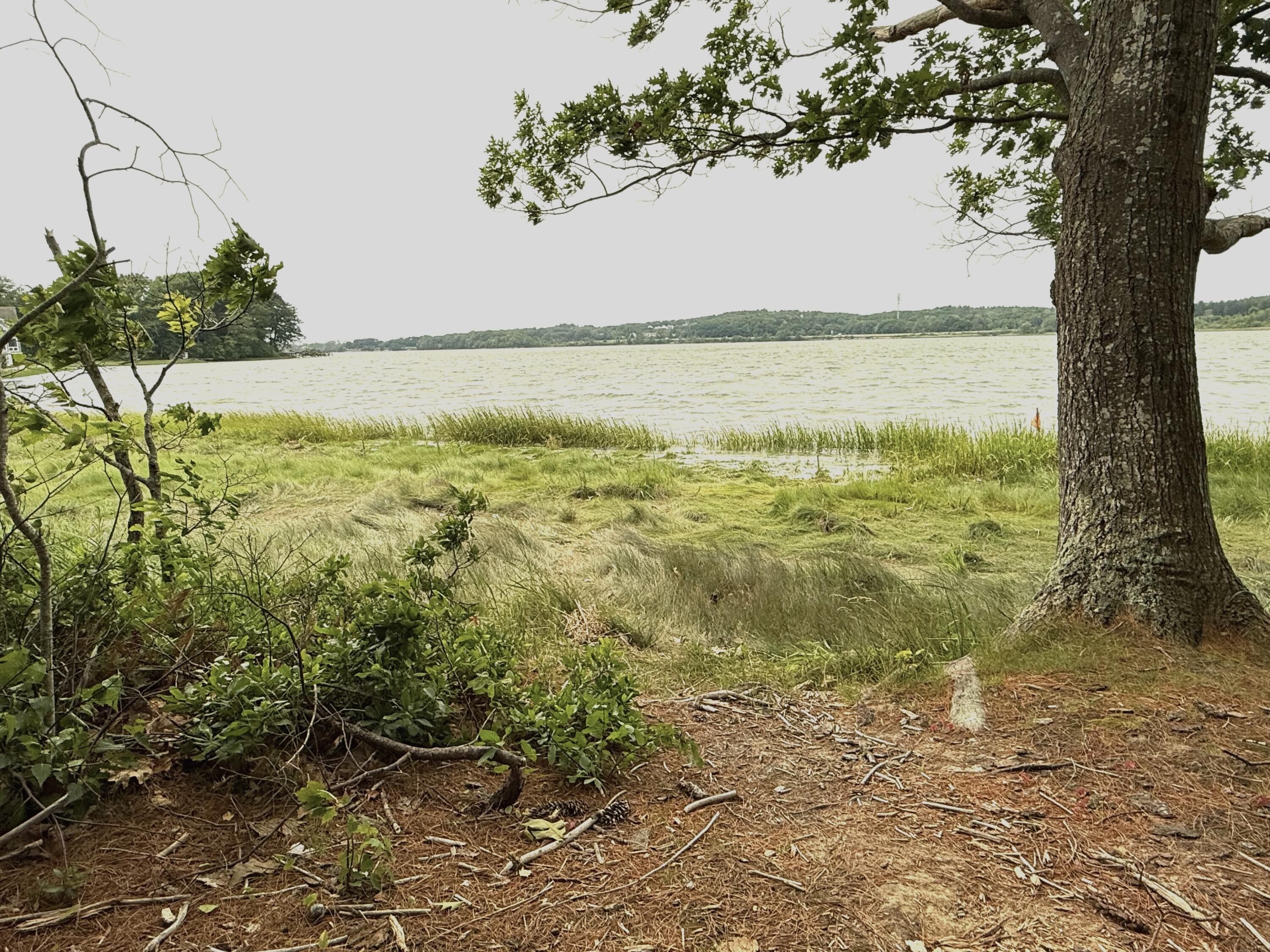 12 Foreside Common Road, Unit 12 Falmouth, ME 04105 - Photo 45 of 50 water access 2