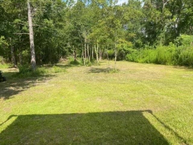 19345 Vaughn Road Seminole, AL 36574 - Photo 10 of 14