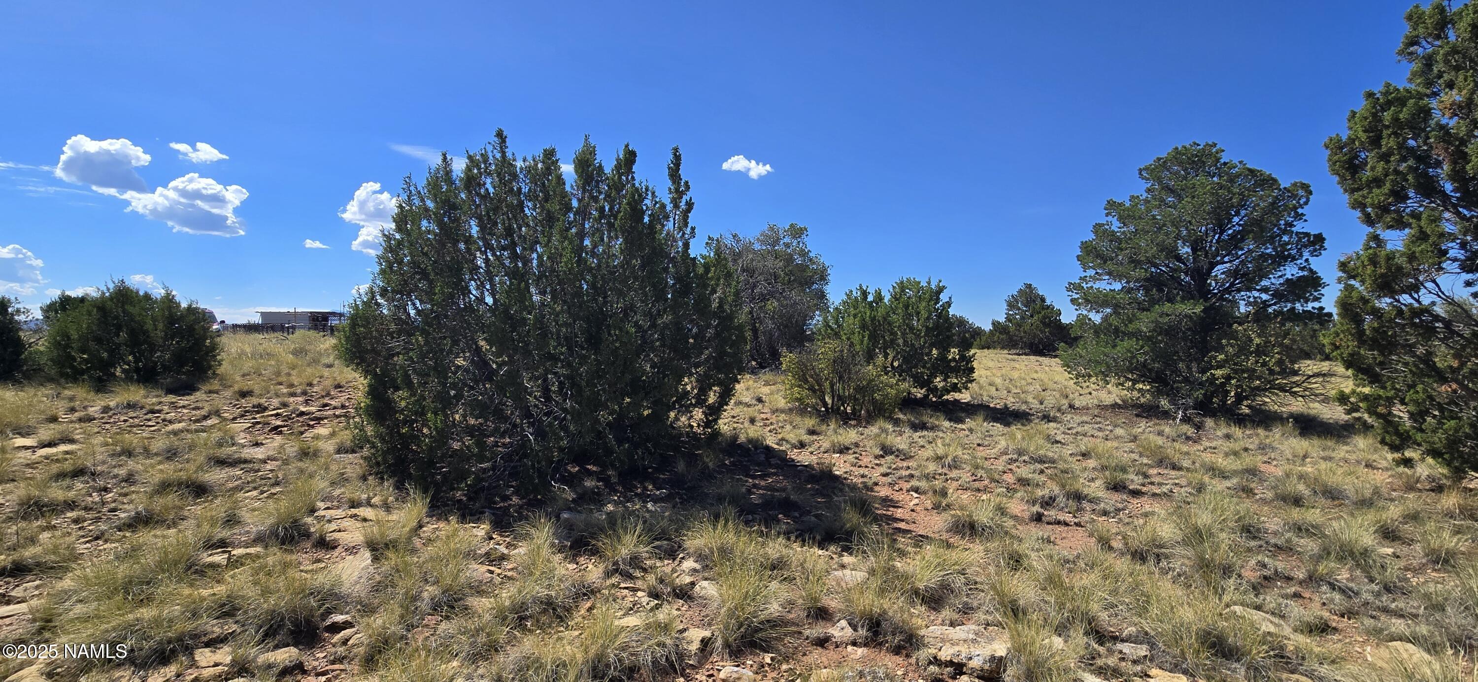 3810 Wingfield Road Williams, AZ 86046 - Photo 12 of 17 a view of a yard