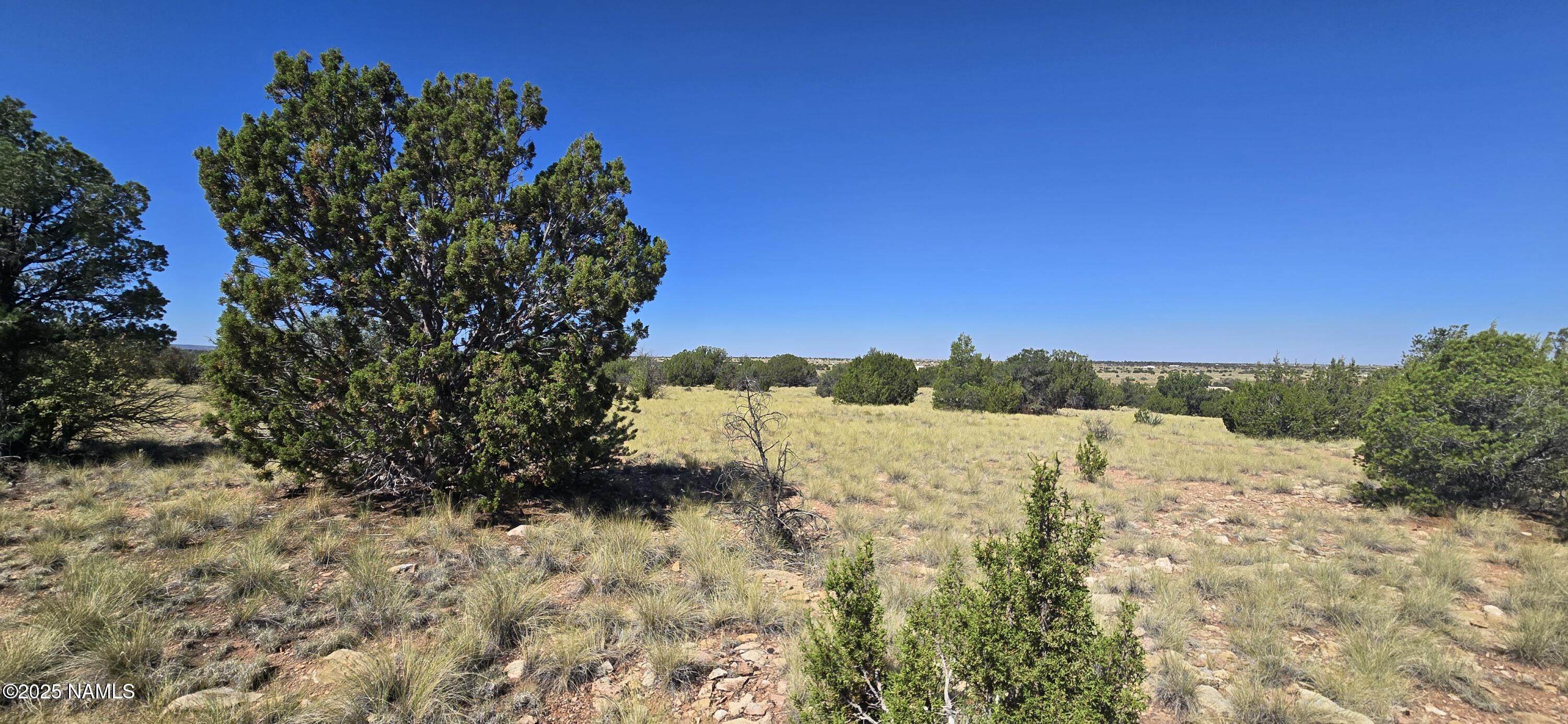 3810 Wingfield Road Williams, AZ 86046 - Photo 13 of 17 a view of mountain view and mountains