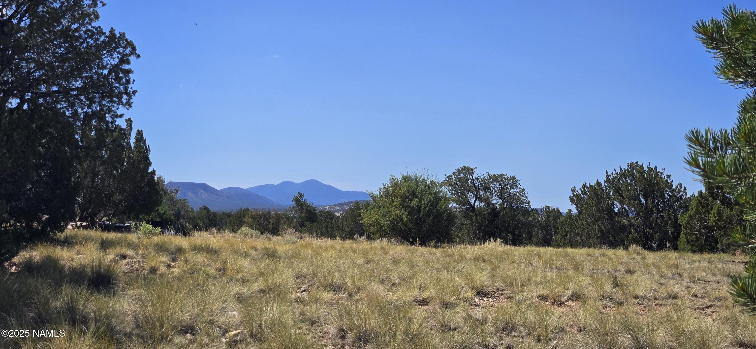 3810 Wingfield Road Williams, AZ 86046 - Photo 15 of 17 a view of mountain view with lots of trees