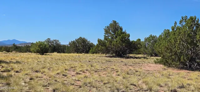 $19,900 | 3810 Wingfield Road, Williams, AZ 86046