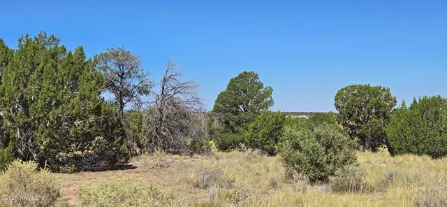 a view of a snow on a field