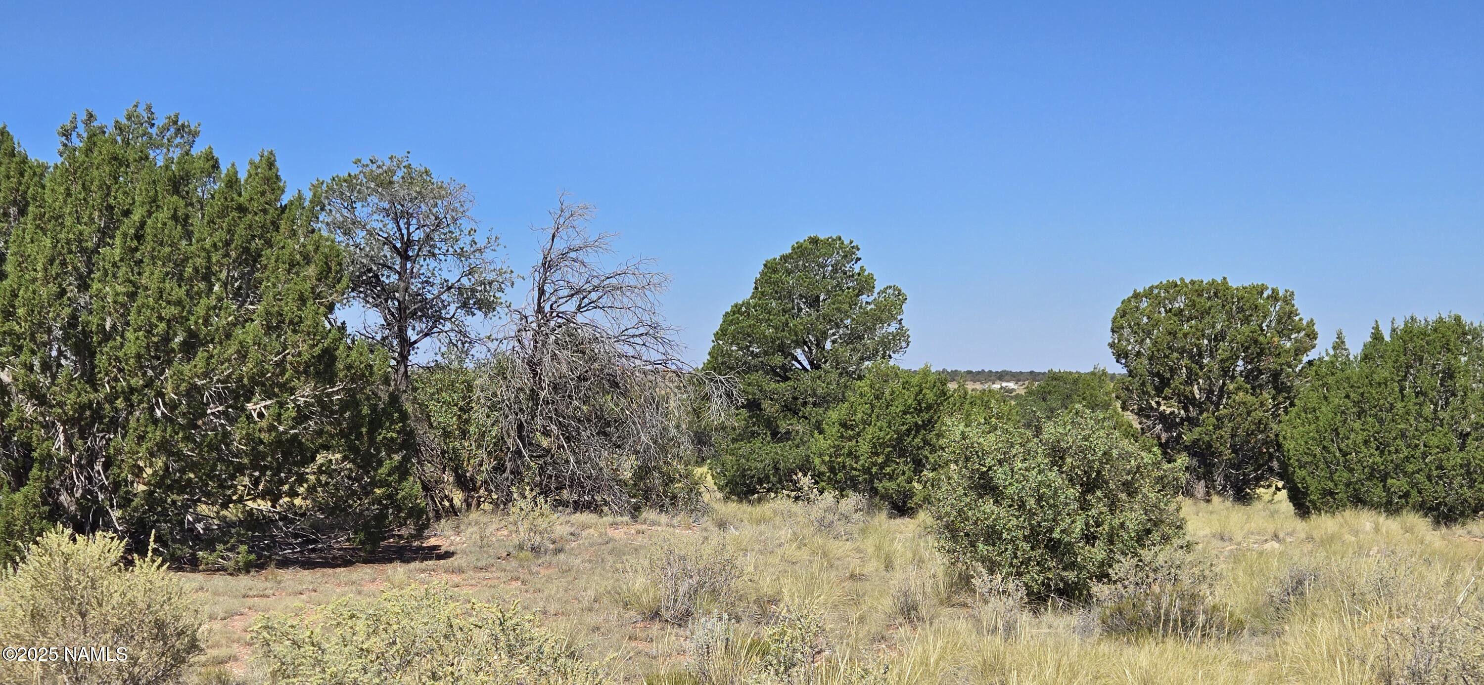 3810 Wingfield Road Williams, AZ 86046 - Photo 3 of 17