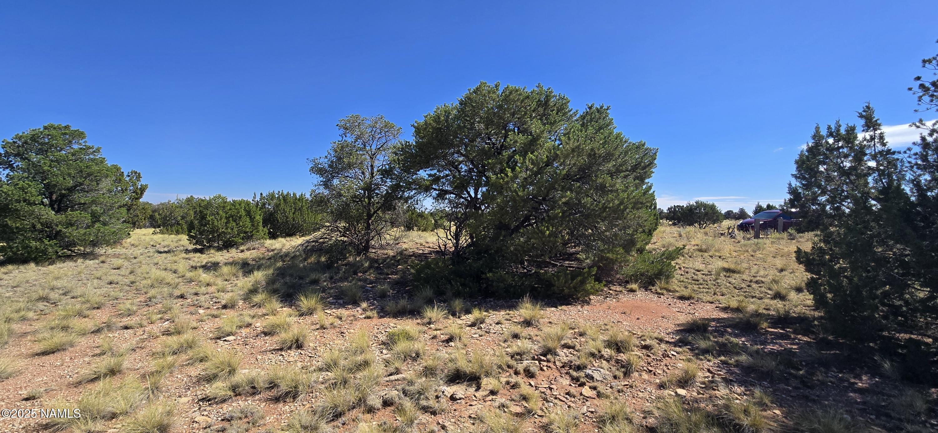 3810 Wingfield Road Williams, AZ 86046 - Photo 5 of 17 a view of a snow on a field
