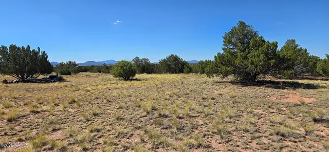a view of a covered with snow on the road