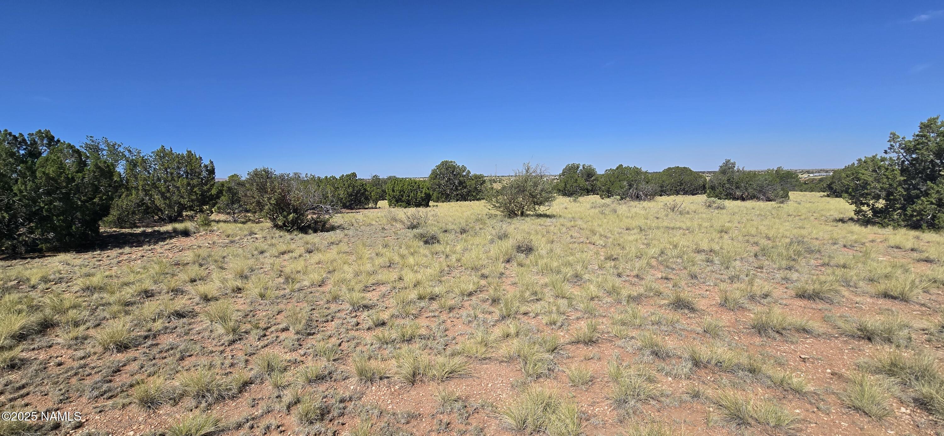 3810 Wingfield Road Williams, AZ 86046 - Photo 8 of 17 a view of mountain view with trees in the background