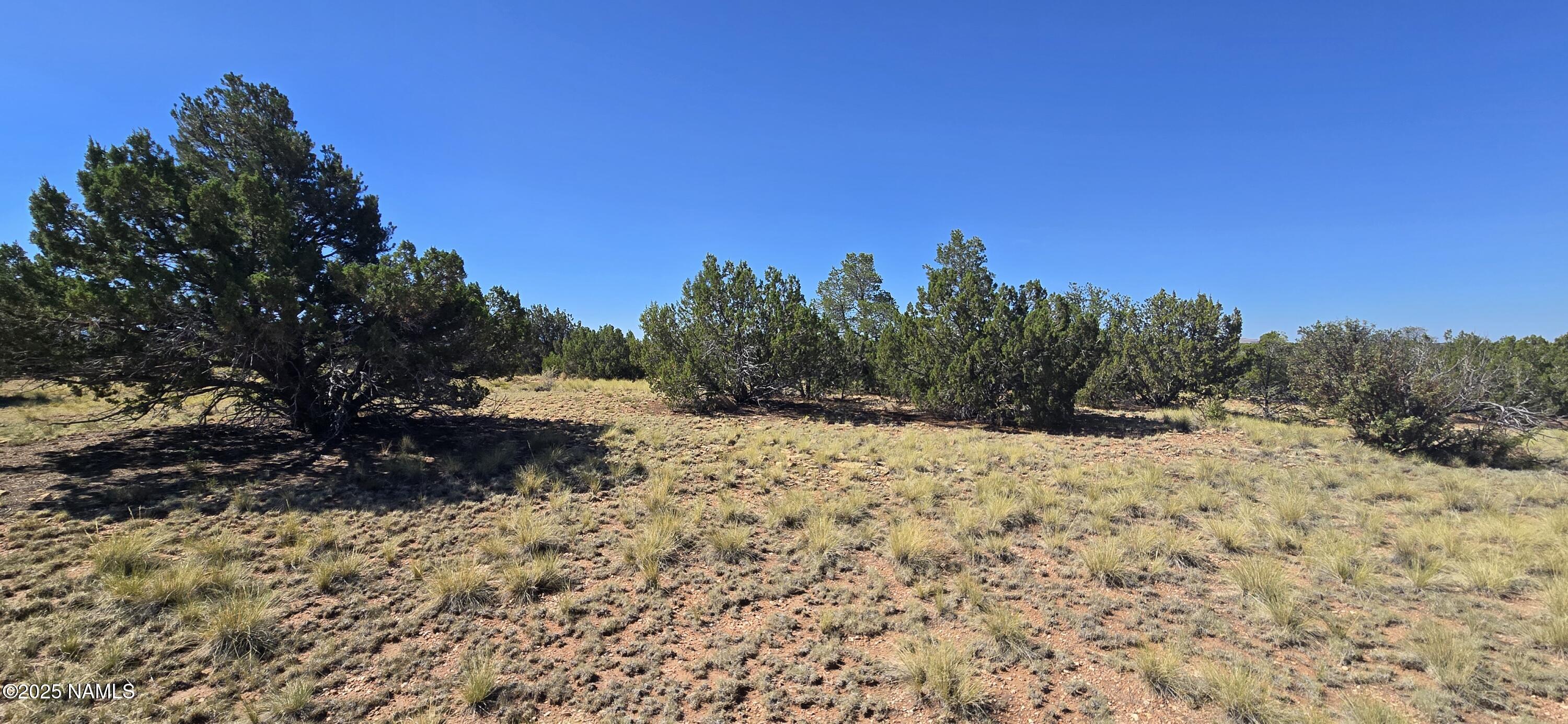 3810 Wingfield Road Williams, AZ 86046 - Photo 9 of 17 a view of a covered with snow on the road