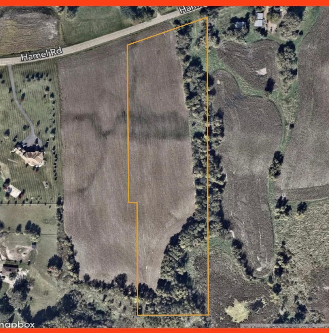 1405 Hamel Road Medina, MN 55340 - Photo 4 of 8