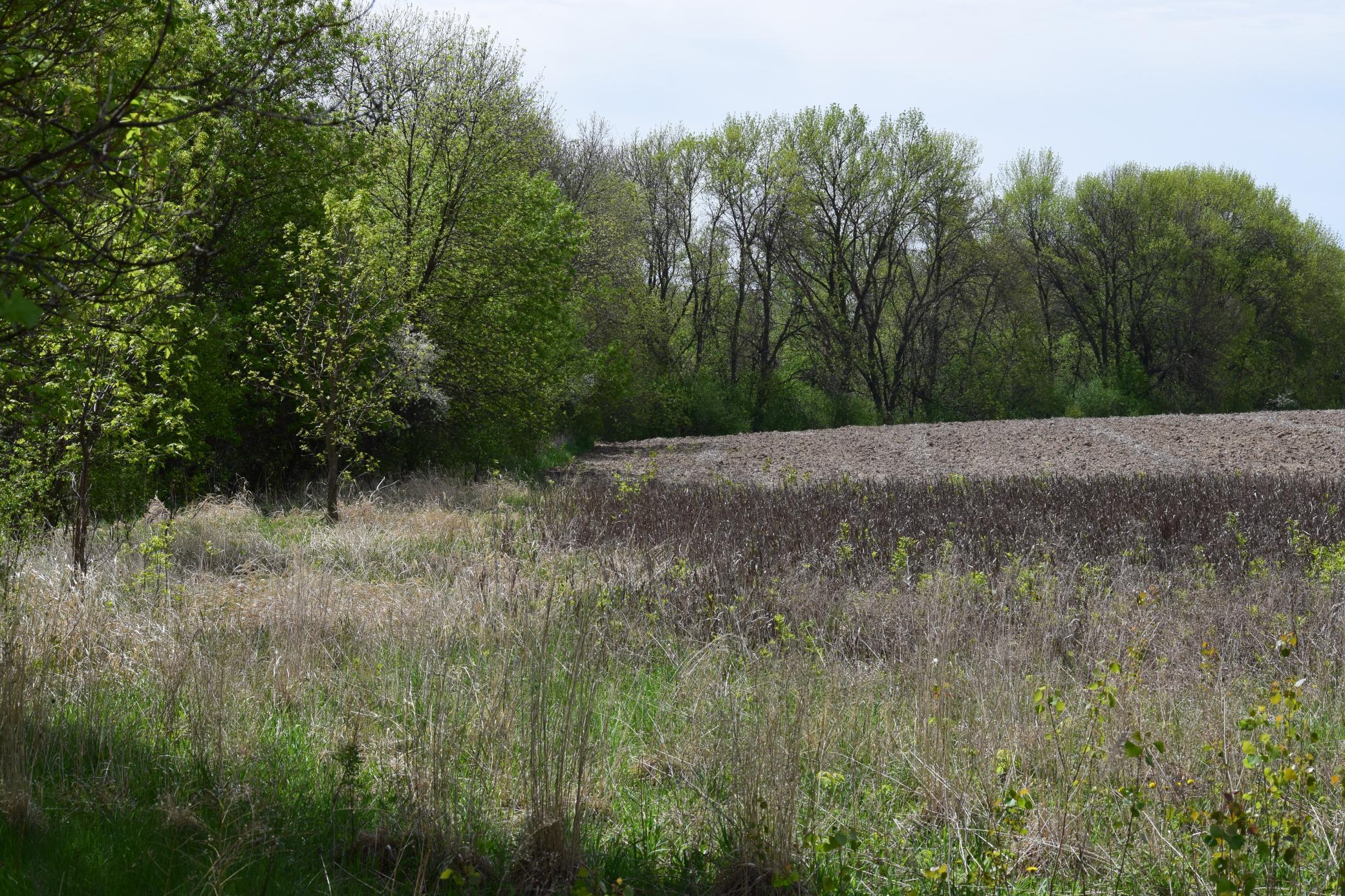 1405 Hamel Road Medina, MN 55340 - Photo 8 of 8