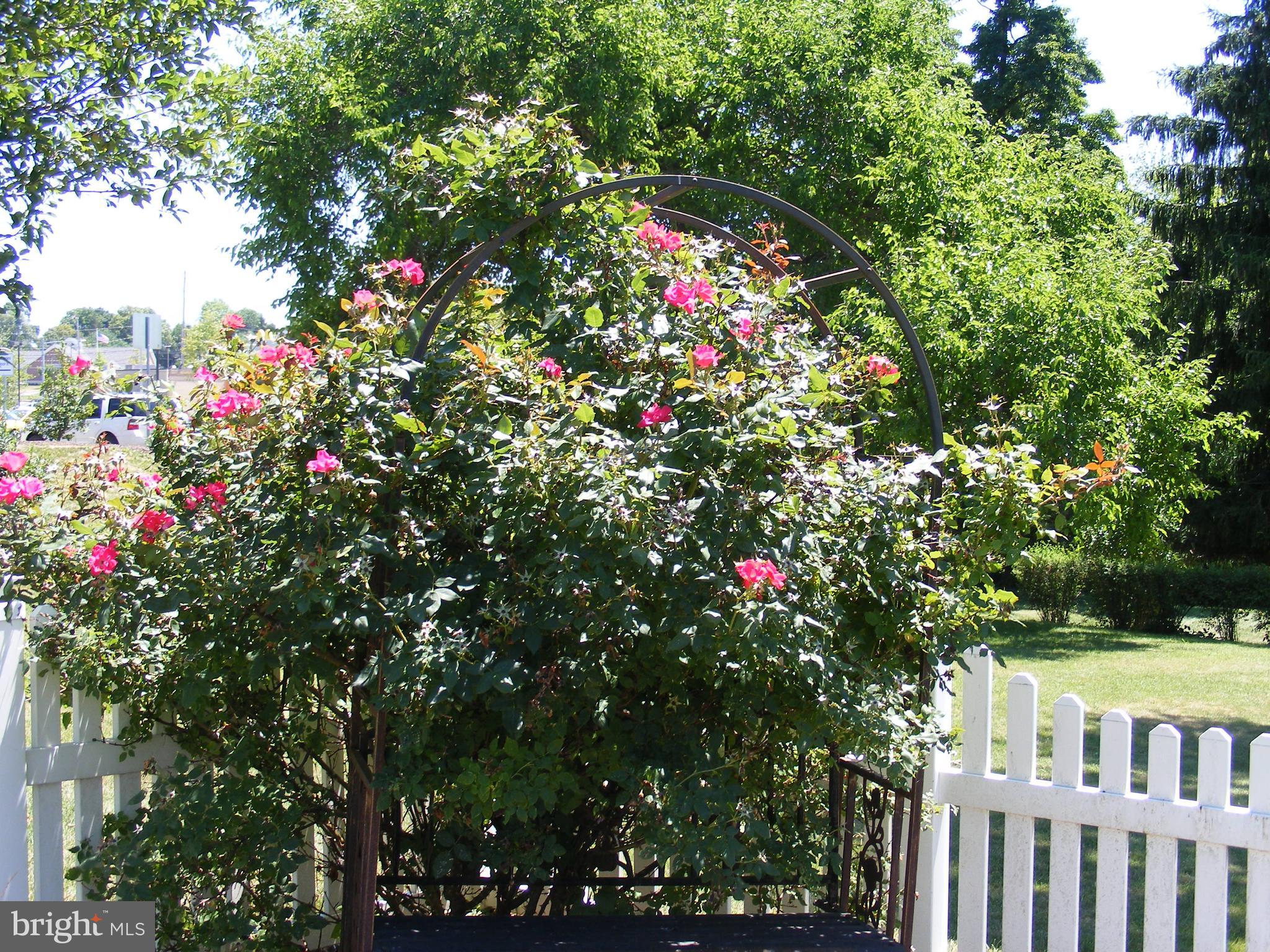 407 Chancellor Road York, PA 17403 - Photo 28 of 30 Rose bushes and other flowers in yard