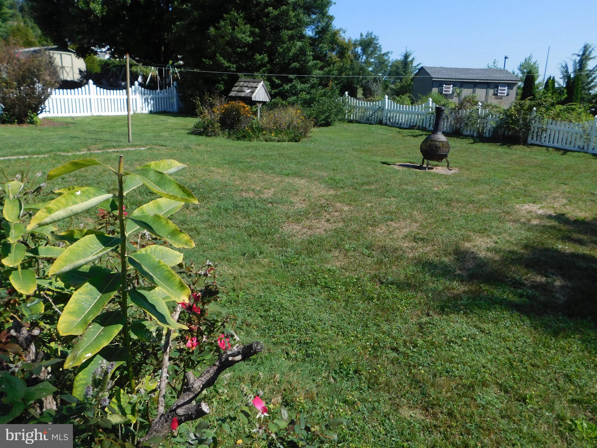 407 Chancellor Road York, PA 17403 - Photo 30 of 30 Black raspberry bushes and much more in the garden