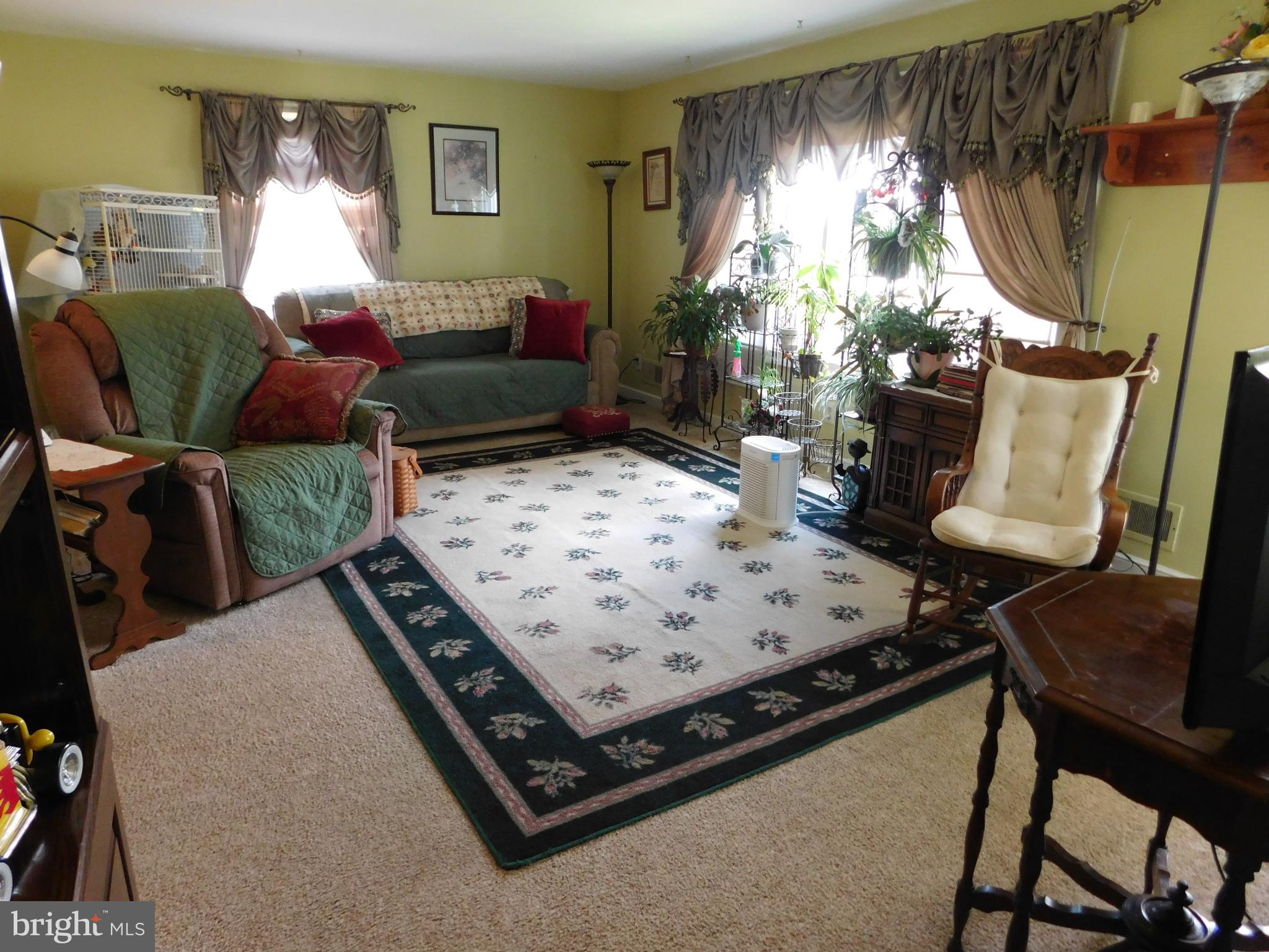407 Chancellor Road York, PA 17403 - Photo 6 of 30 20 X 13 living room- large window & neutral carpet