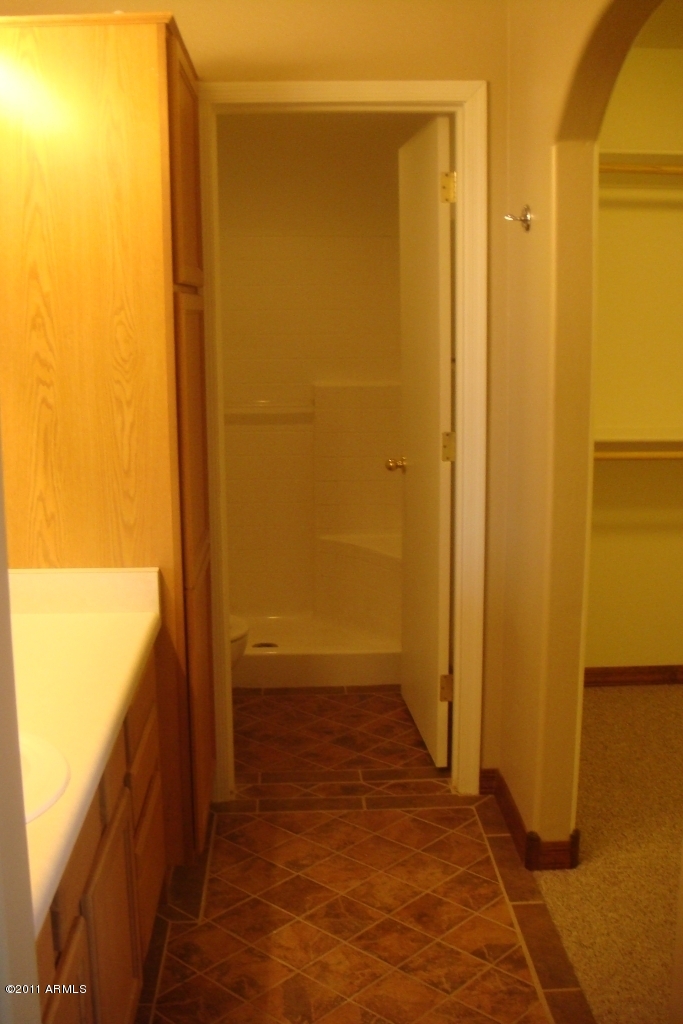 610 North Merrill Road Mesa, AZ 85207 - Photo 12 of 31 Master bath walk in closet to the right