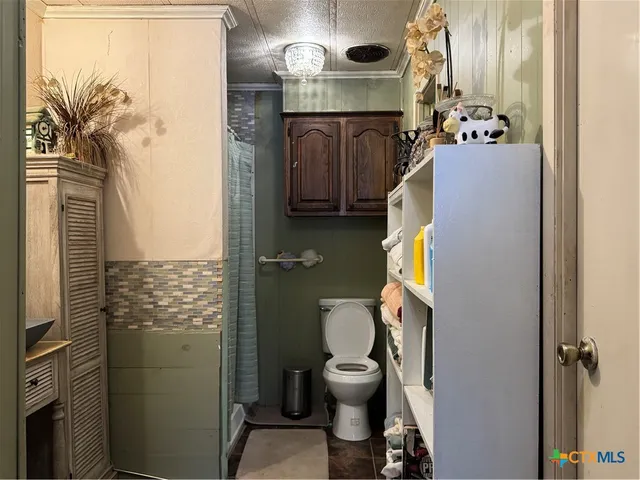 a bathroom with a toilet and a shower curtain