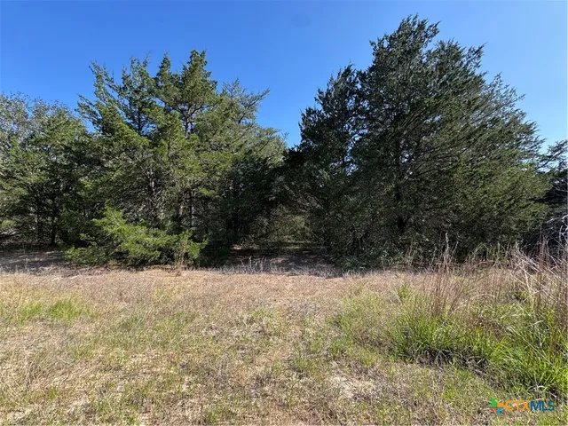 a view of a yard with a tree