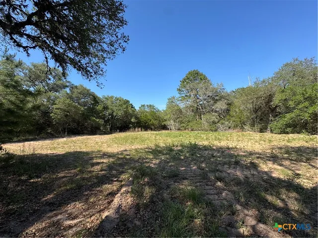 a view of a yard with a trees
