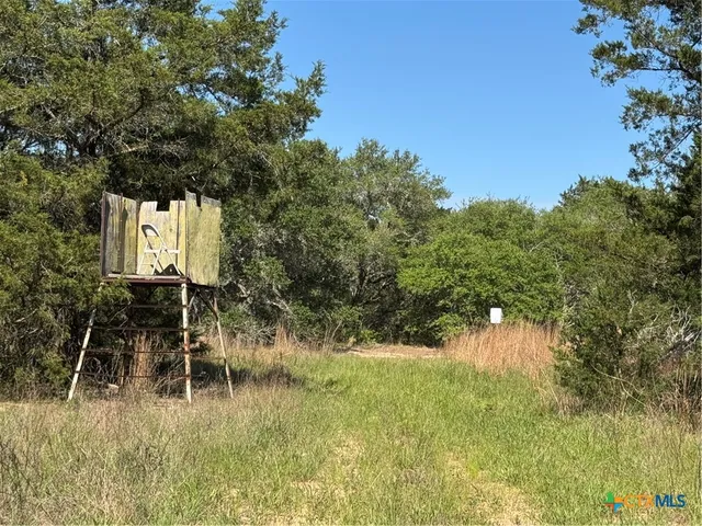 a view of a field with a yard