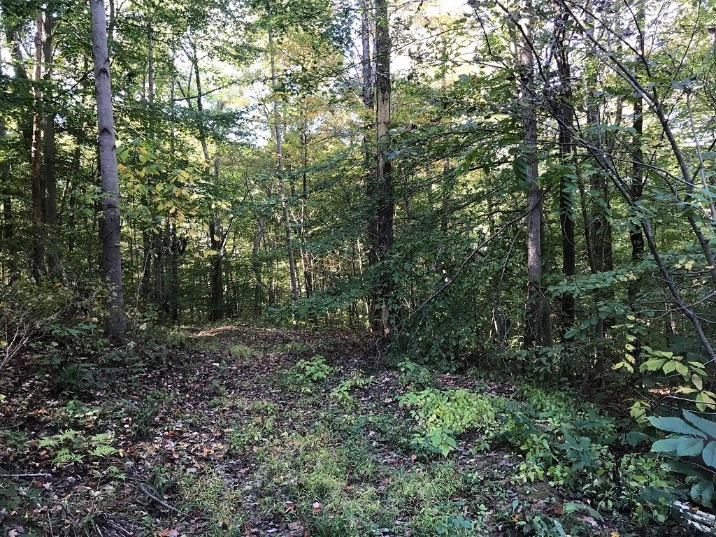 11920 South Co Rd 525 W Center Point, IN 47840 - Photo 5 of 8